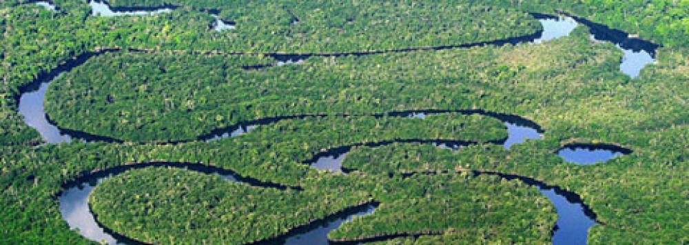 Cientista projeta o fim da Amazônia para o ano de 2260 